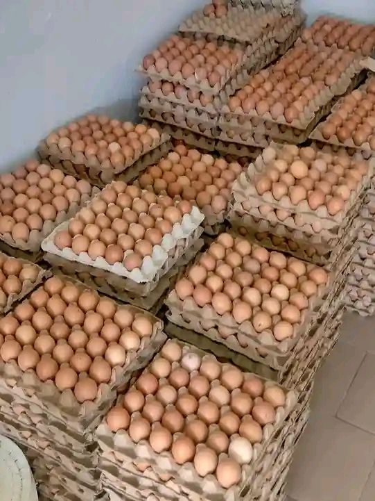 Œufs frais Abidjan - Livraison gratuite - Prix imbattables