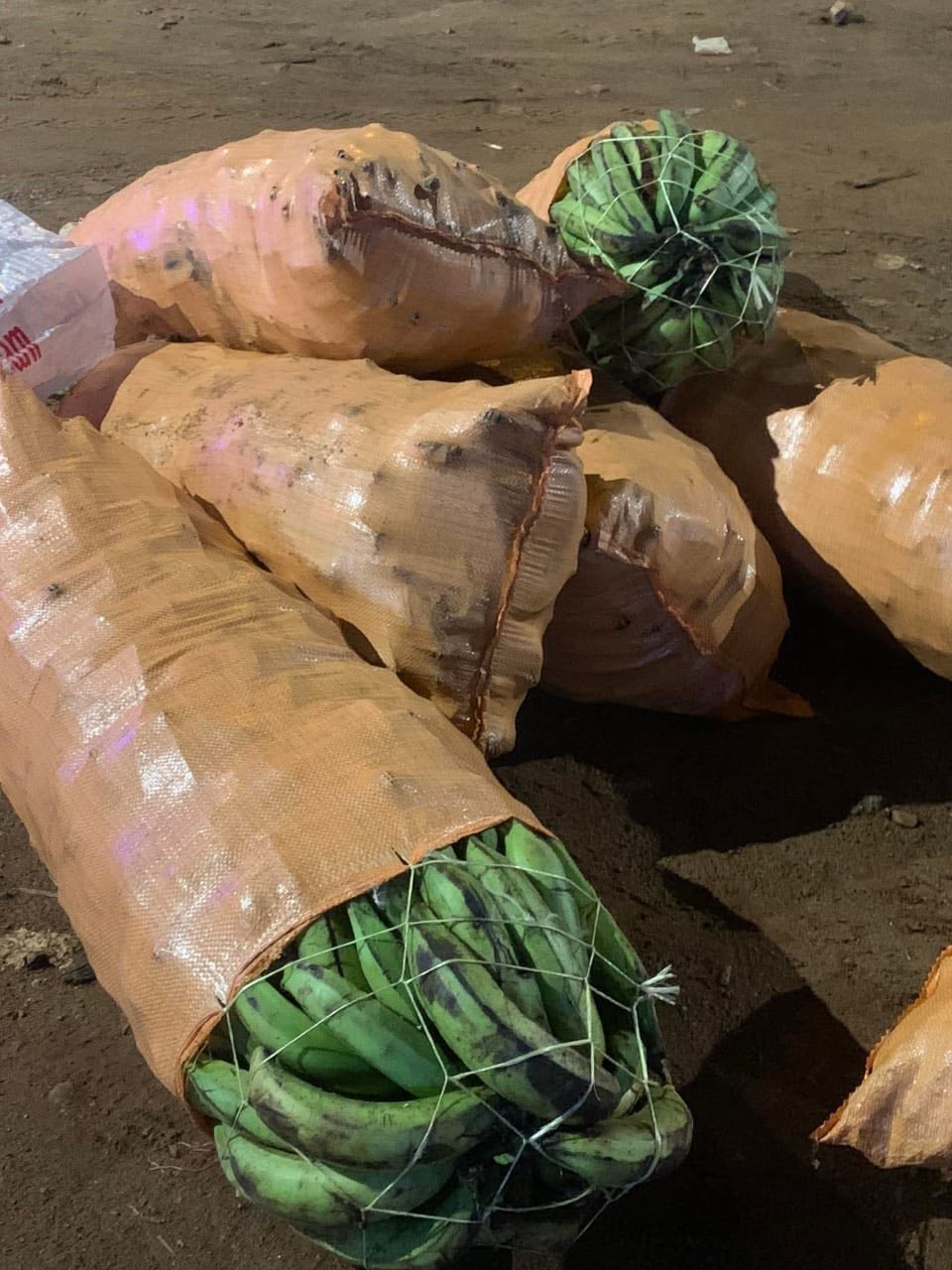 Sacs Bananes Campement - 9000F - Livraison Gratuite 4+