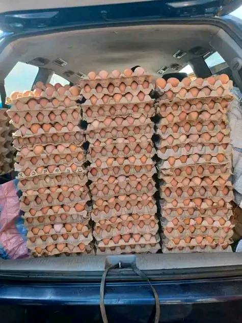 Vente des œufs et poulet 
