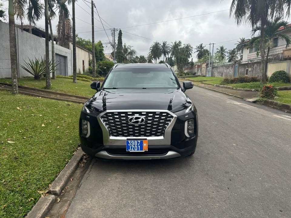 Hyundai palissade  Année 2020