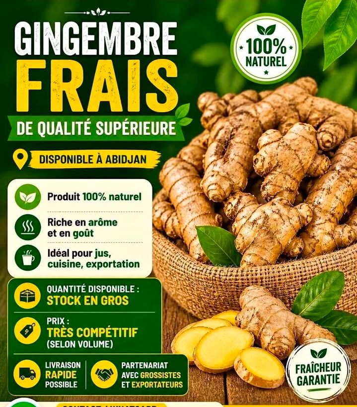 GINGEMBRE FRAIS DE QUALITÉ SUPÉRIEURE