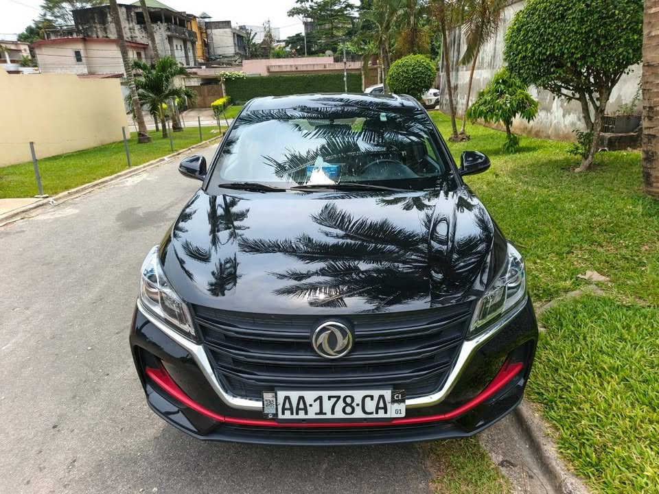 🚘Marque FENGON 500 Année 2024