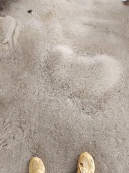 Coquillage Broyé