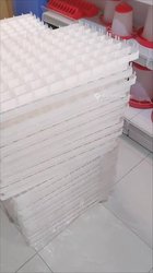 Alvéole de 88 oeufs pour couveuse