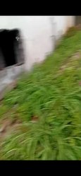 Terrains  - Bingervil fekessé dans une cité