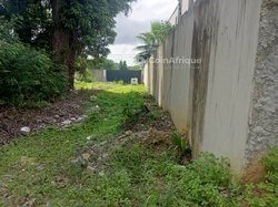 Terrain 1300m² - Cocody