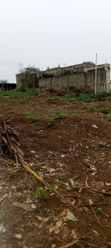 Terrains 500 m² - bingervil derrière l'hôpital mer enfant c