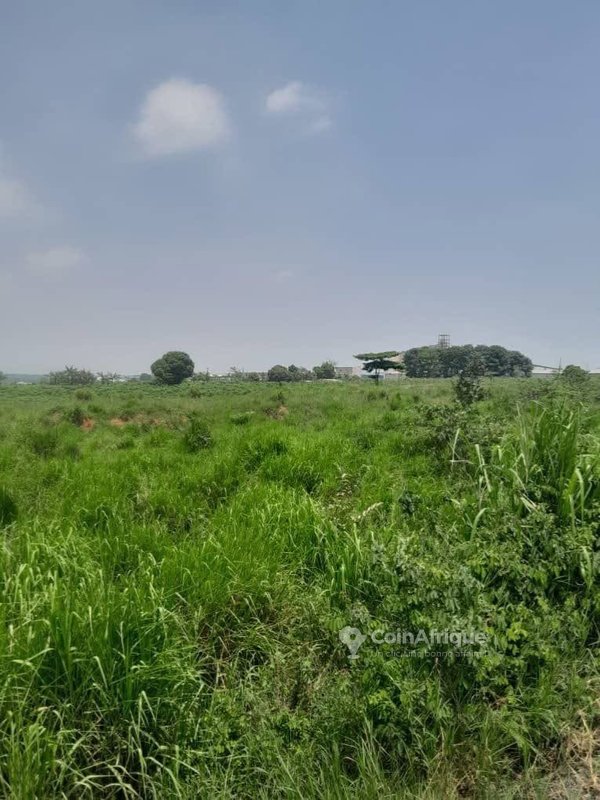Terrain 2,43 hectares - zone industrielle Yopoigon pk24