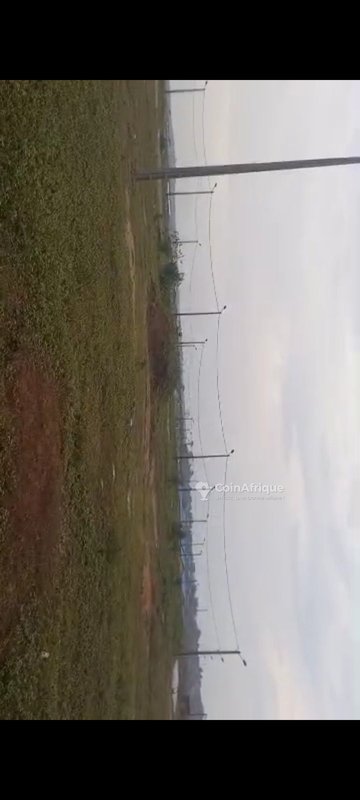 Terrain 15,5 ha à Ebimpé
