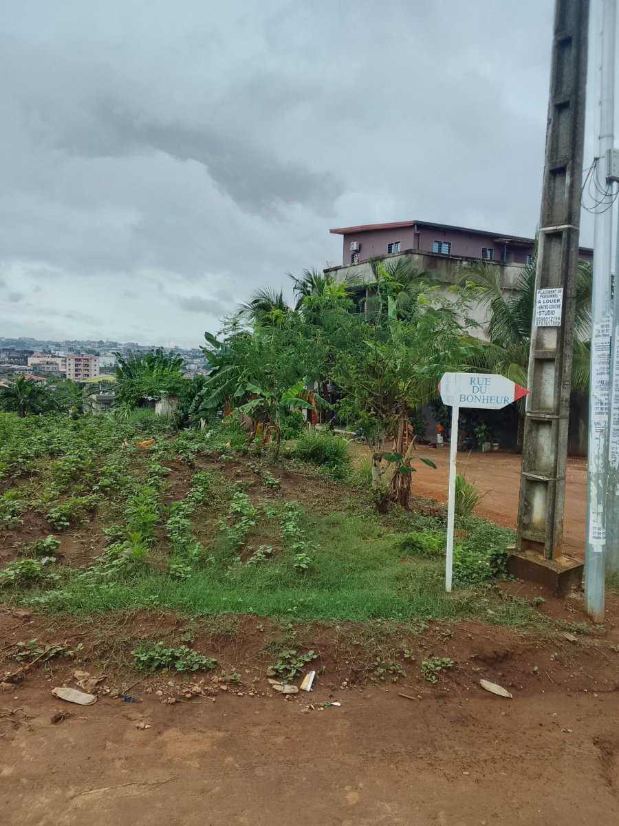 2 lots a Acd a vendre a Bingerville