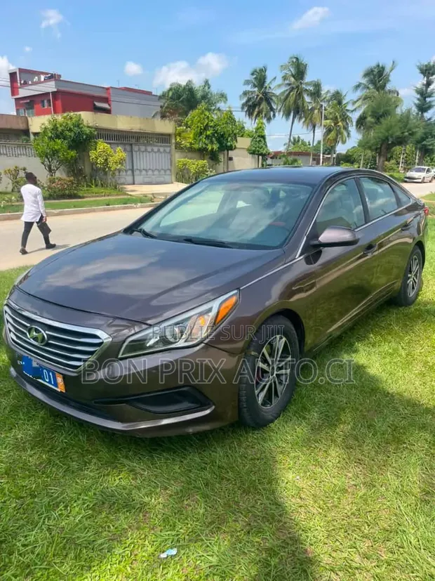 Hyundai Sonata ECO Sedan FWD (1.6L 4cyl 7A) 2017 Rouge