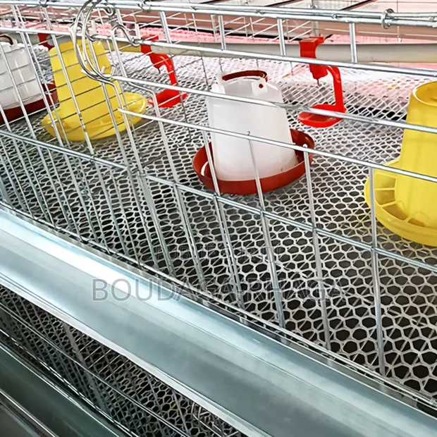 Cages Pondeuses Professionnelles – Boostez Votre Production D’Œufs