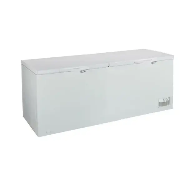 Congélateur horizontal deux battants Nasco – 658L – 2 paniers à l’intérieur – R134