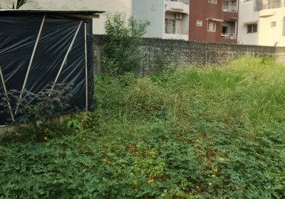 Location d’un Terrain commercial