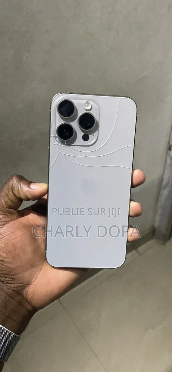 Apple iPhone 15 Pro Max 256 GB Argenté