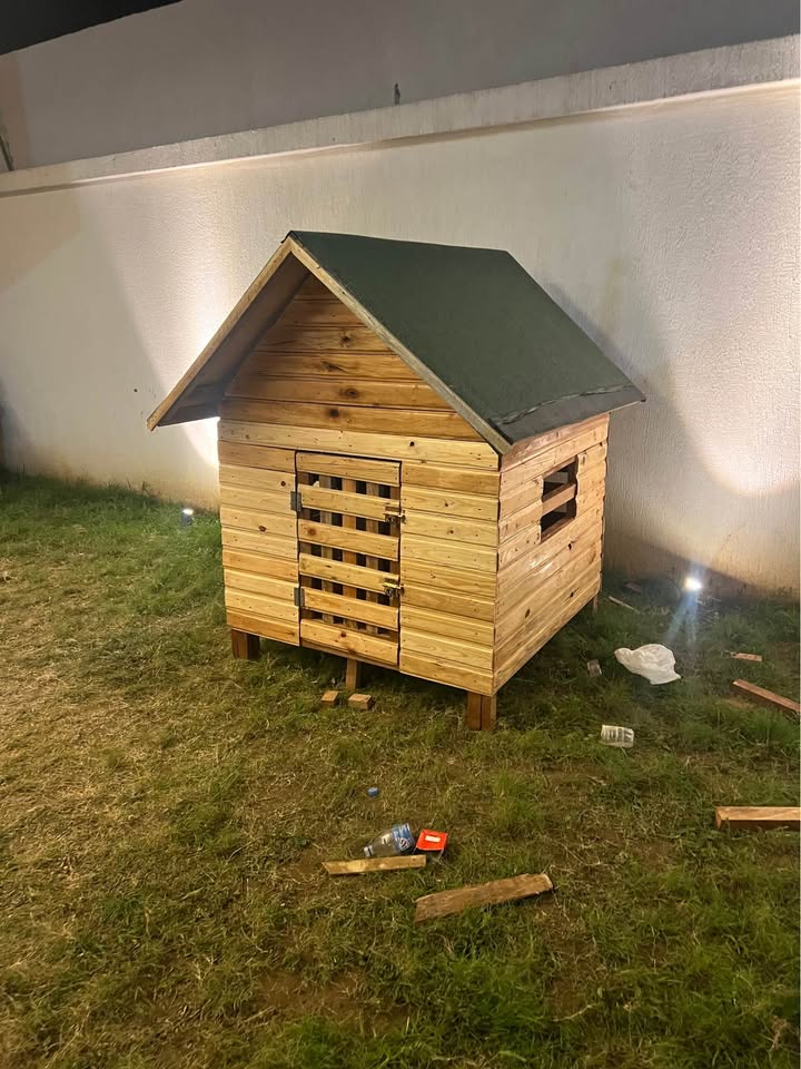 Miniature 5