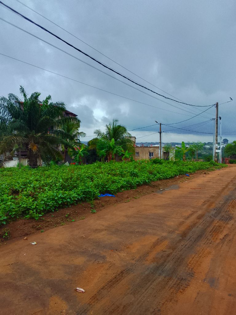 Terrain constructible a Bingerville 
