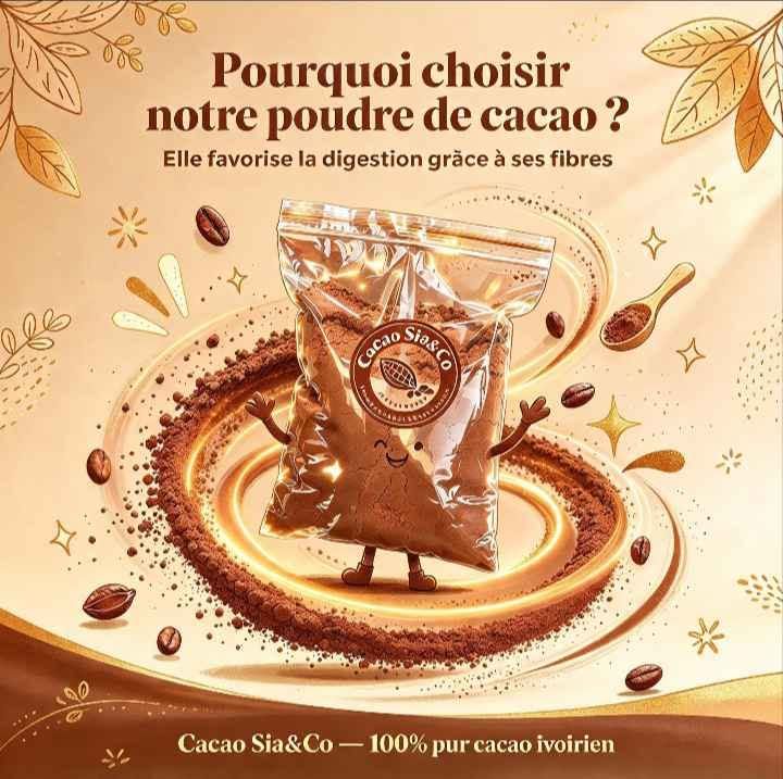Chocolat en poudre pur cacao ivoirien 2500F/kg