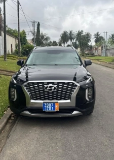 Hyundai palissade  Année 2020