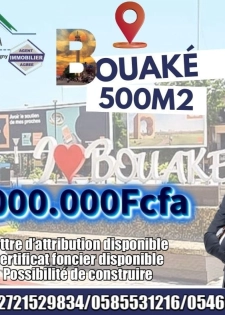 Bouaké anko-prikro nous disposons des lots de 500m2 