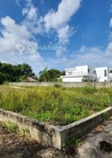 Terrain à Assinie KM18 – 1 400 m² avec f