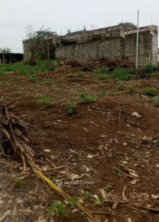 Terrains 500 m² - bingervil derrière l'hôpital mer enfant c