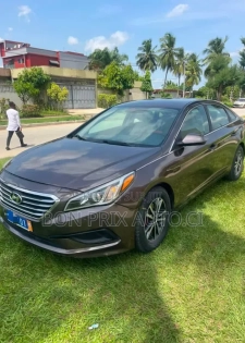Hyundai Sonata ECO Sedan FWD (1.6L 4cyl 7A) 2017 Rouge