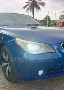 BMW 5 Series 2004 Bleu