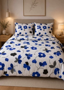 Draps de lit 2/3 places et oreillers 5500F