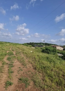 BINGERVILLE ELOKATÉ