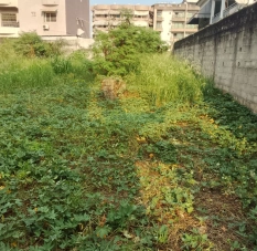 Terrain constructible en Bail a la Riviera Faya 