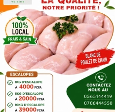 Poulet Abidjan : Méga Destockage dès 1200 FCFA